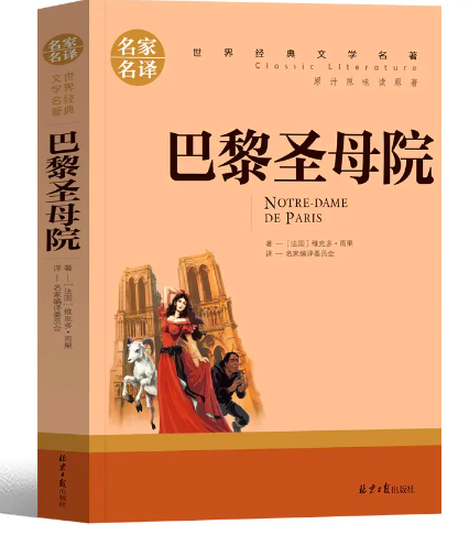 巴黎圣母院好词好句摘抄(一共33句）-第1张图片