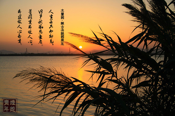 纳兰容若最有名的十首诗：浣溪沙人生若只如初见-第1张图片