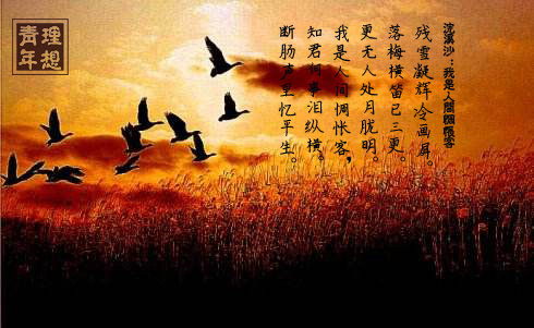 纳兰容若最有名的十首诗：浣溪沙人生若只如初见-第4张图片